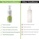 Mamaearth Tea Tree Conditioner with Tea Tree & Ginger Oil for Dandruff Free Hair - 250 ML - Image 2